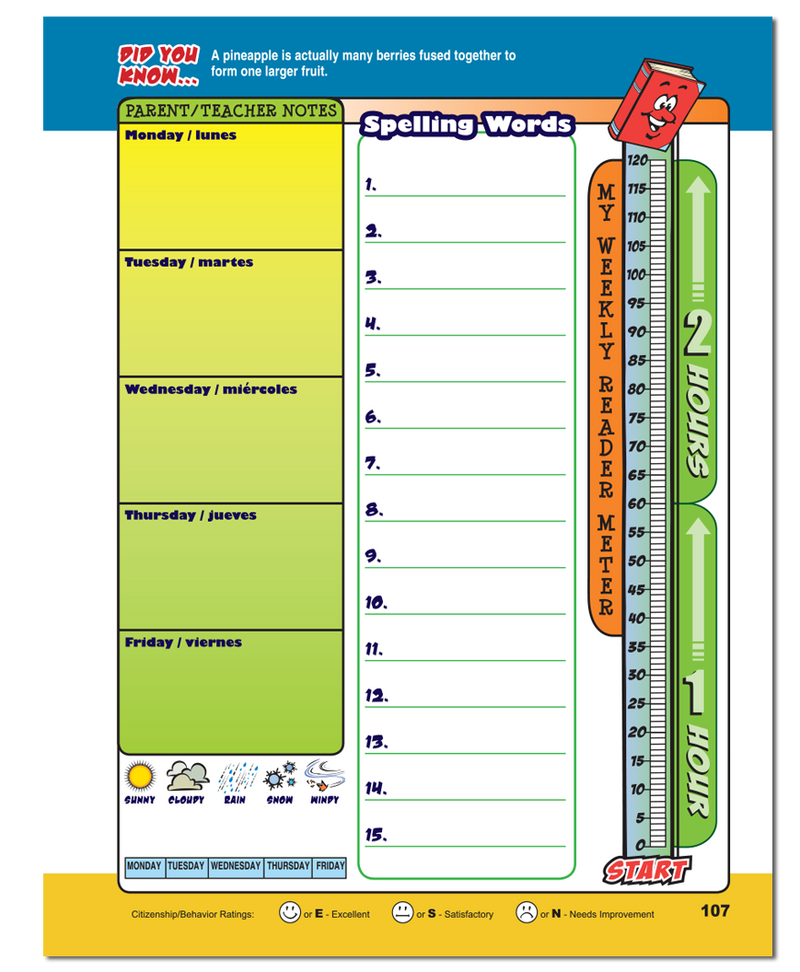 Standard Primary School Planner